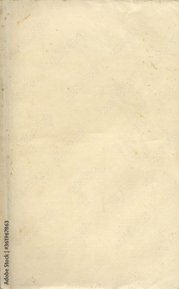 Fototapeta premium Old paper texture. Rough faded surface. Blank retro page. Empty place for text. Perfect for background and vintage style design.