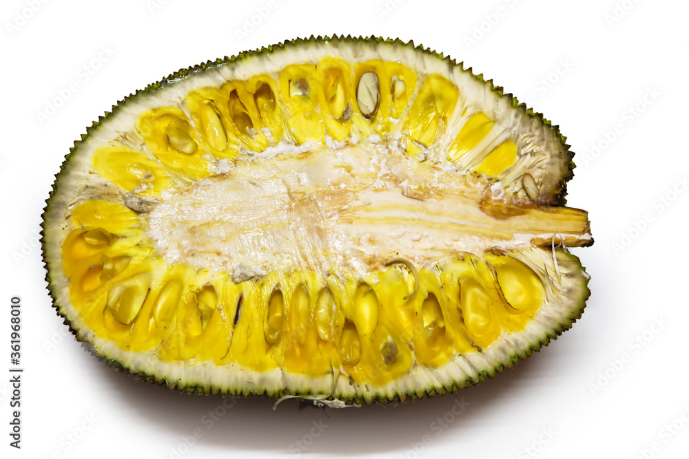 Fototapeta premium Fresh ripe jackfruit. Fresh sweet jackfruit segment ready for eat. Cutting jackfruit. Vegetarian, vegan, raw food.Tropical fruit. Selective focus.