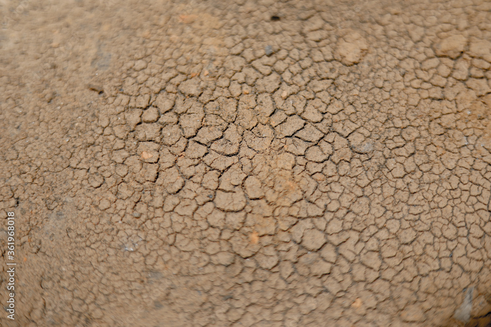 Brown dry soil background At the top view Brown dry soil background At the top view