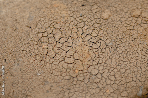 Brown dry soil background At the top view