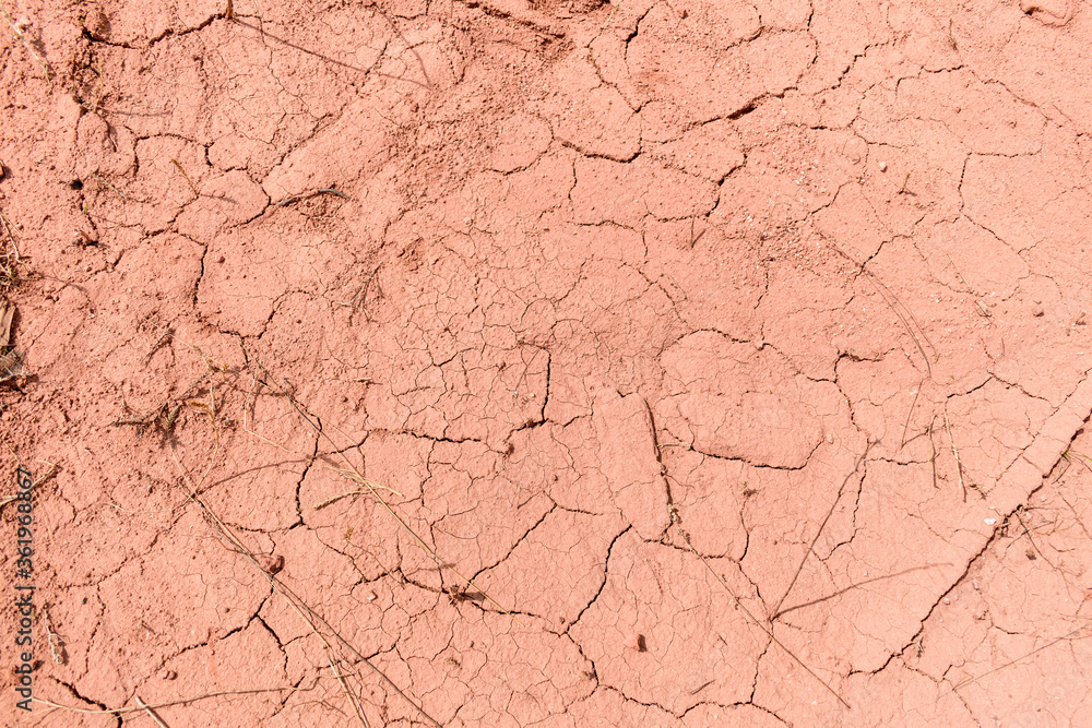 Cracked earth. Stalks of dry grass. Concept of climate change, drought, crop death from heat. Cracked earth. Stalks of dry grass. Concept of climate change, drought, crop death from heat.