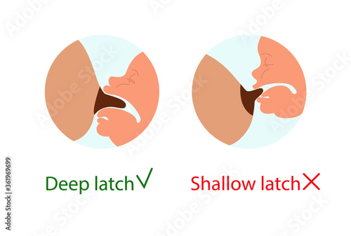 Breastfeeding, how to apply to the breast. Deep latch, shallow latch. Correct breastfeeding position. Mother feeds baby with breast. Vector stock illustration isolated on white background