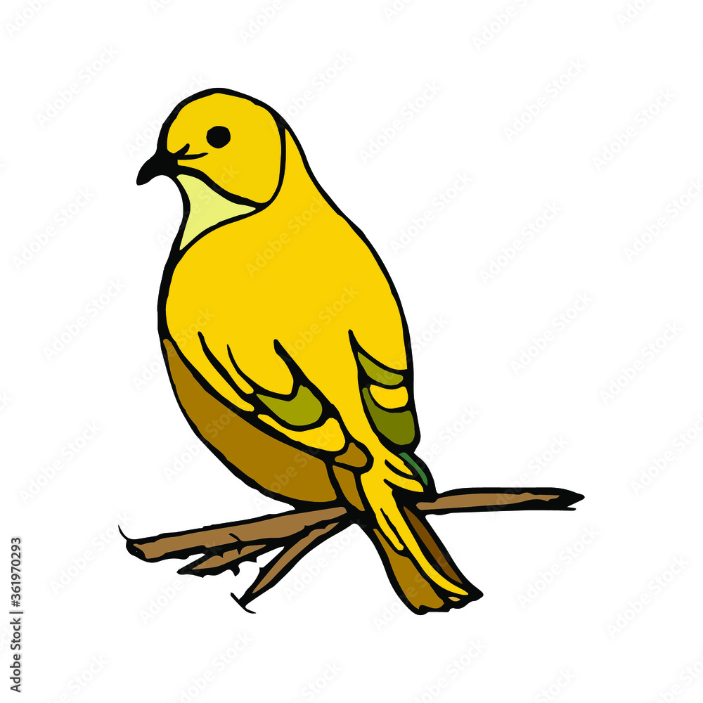 yellow bird on a branch yellow bird on a branch