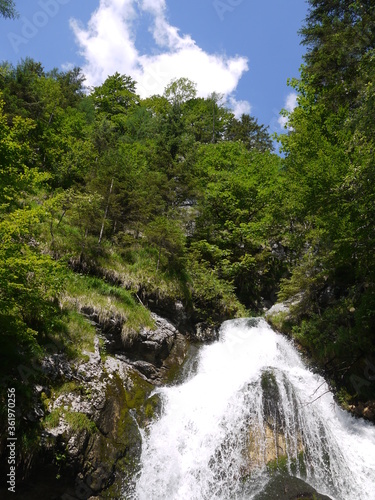 Am K  nigssee