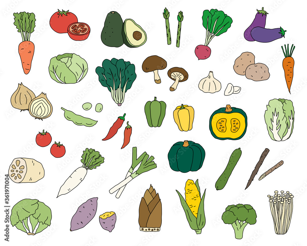 手書きの野菜のイラストのセット シンプル おしゃれ 線画 Stock ベクター Adobe Stock