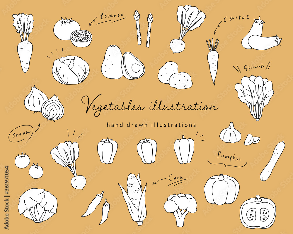 手書きの野菜のイラストのセット シンプル おしゃれ 線画 Stock Illustration Adobe Stock
