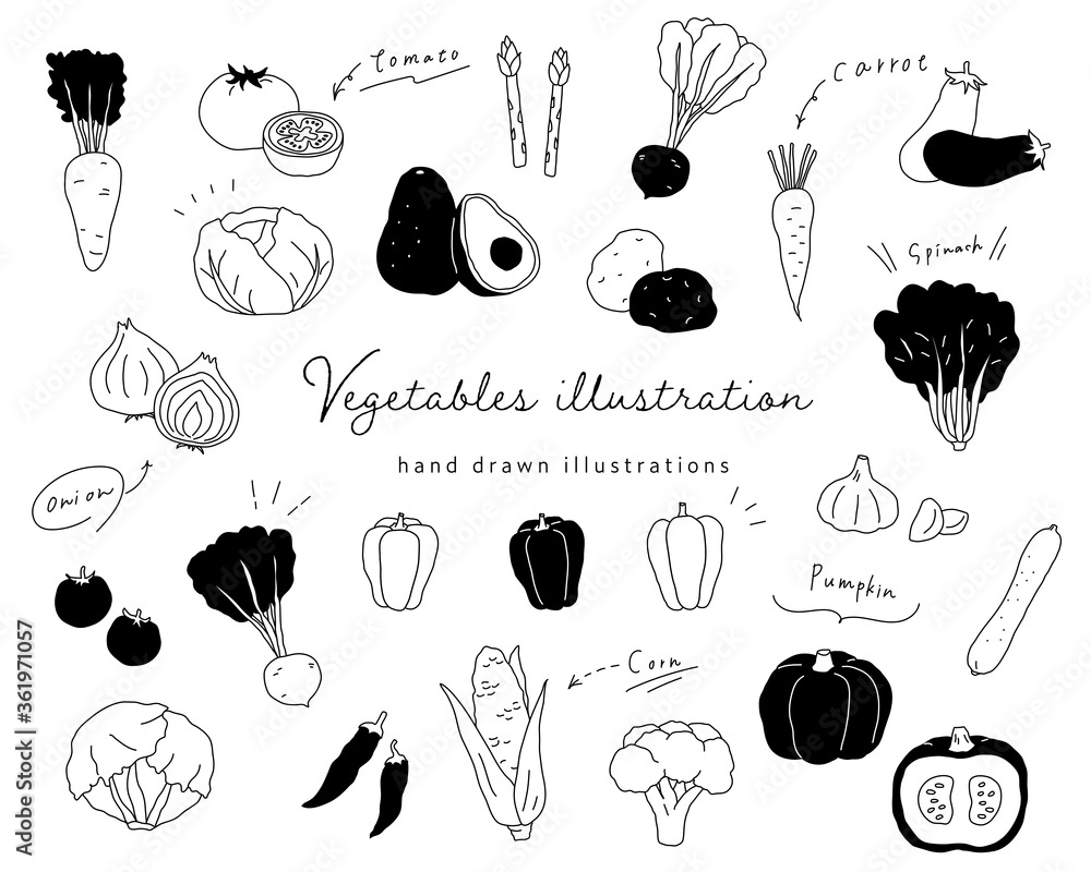 手書きの野菜のイラストのセット シンプル おしゃれ 線画 Illyustraciya Stock Adobe Stock