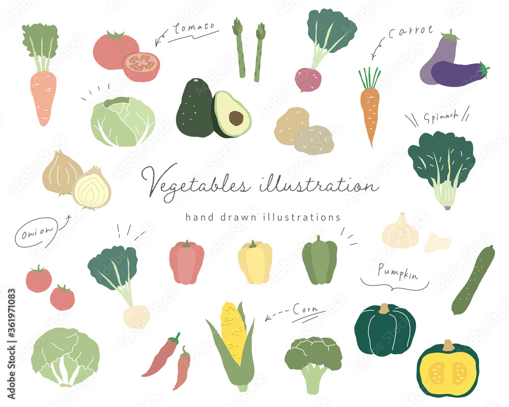 手書きの野菜のイラストのセット シンプル おしゃれ 線画 Stock イラスト Adobe Stock