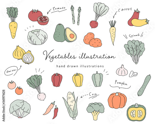 手書きの野菜のイラストのセット シンプル おしゃれ 線画 Vector De Stock Adobe Stock