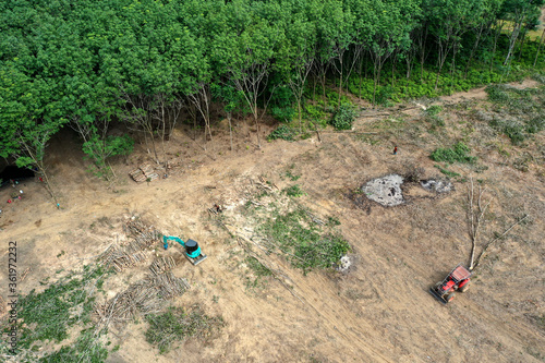 Logging or deforestation of forest. Clearing land for agriculture photo