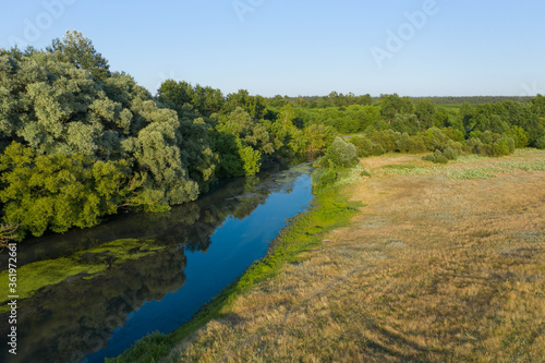 River and trees evening landscape of nature aerial view in summer © pridannikov