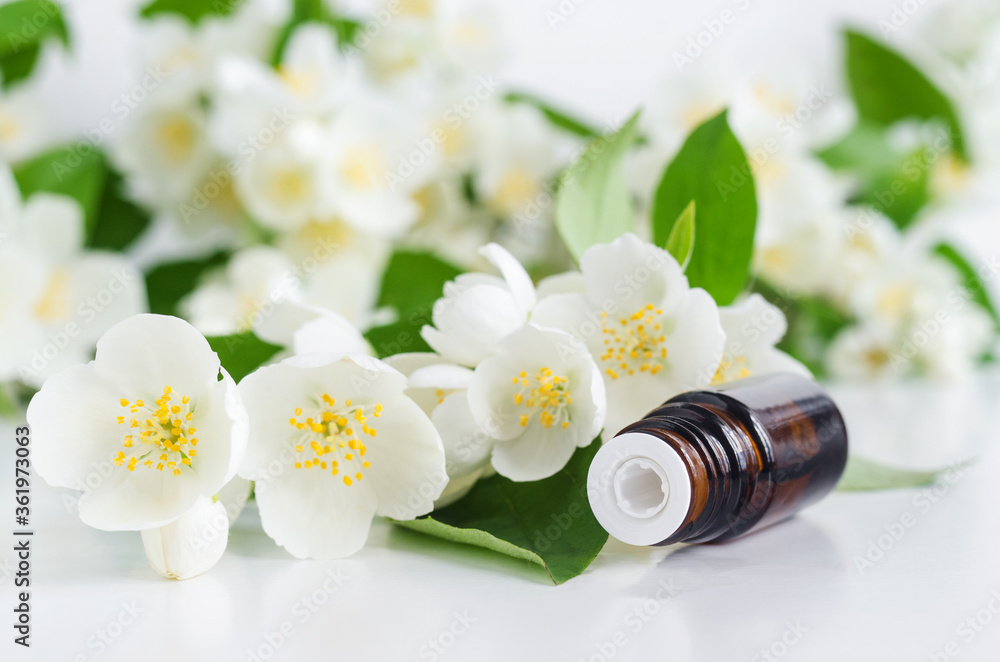 Small glass bottle with essential jasmine oil (tincture, infusion, perfume)  on the white background. Jasmine flowers close up. Aromatherapy, spa and  herbal medicine ingredients. Side view, copy space. Stock Photo