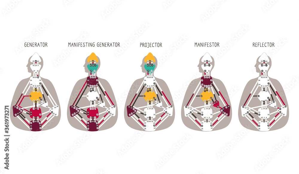 Generator Projector Manifestor Reflector. Five human design types.Human  Design BodyGraph chart. illustration Stock Illustration | Adobe Stock