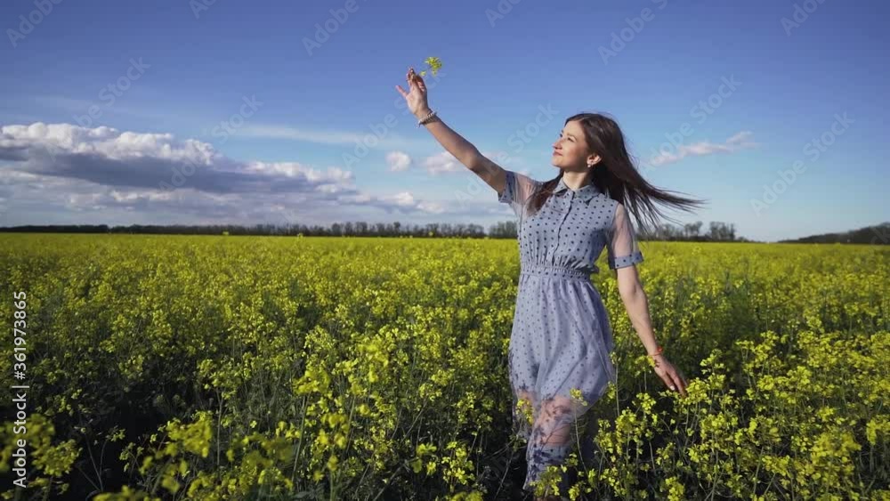 A young brunette girl walks in a blue dress across the summer field. In the girl’s hand a yellow rape flower A young brunette girl walks in a blue dress across the summer field. In the girl’s hand a yellow rape flower
