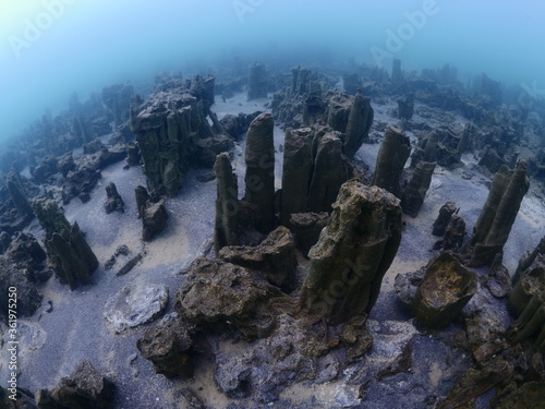 microbialite structure castles and towers underwater slow motion photo