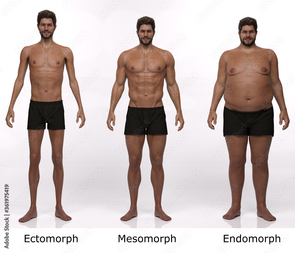 3D Render : standing female body type illustration : ectomorph (skinny type),  mesomorph (muscular type), endomorph(heavy weight type), Front View Stock  Illustration