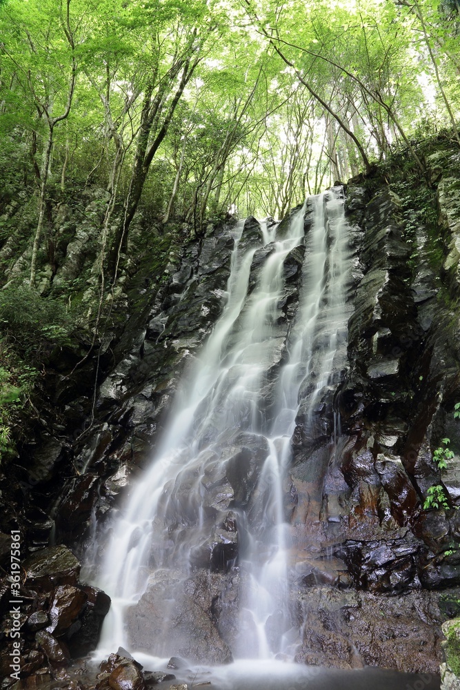 阿波の大滝 阿波の大滝