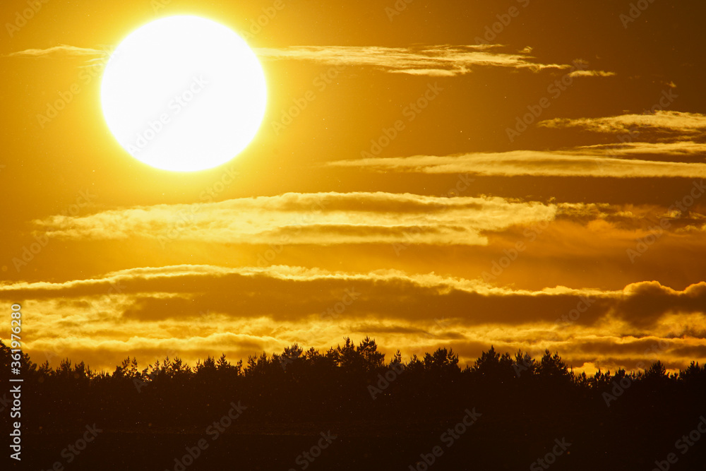 Sunset backlit on a grain wheat or barley field. Amazing sunset, dramatic scenic landscape. The plant is ready for harvest.