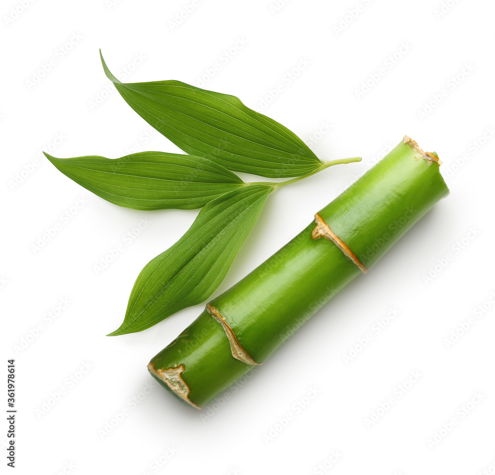 Branches of bamboo isolated - obrazy, fototapety, plakaty 