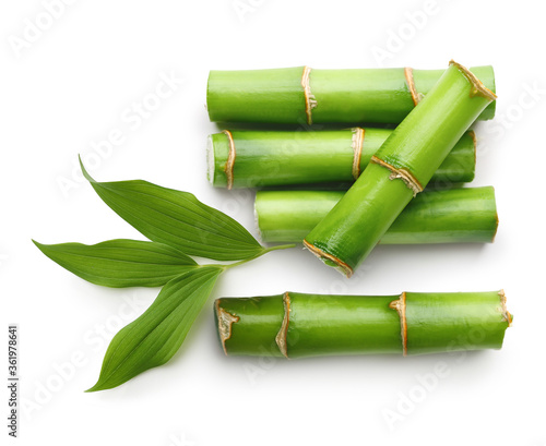 Branches of bamboo isolated