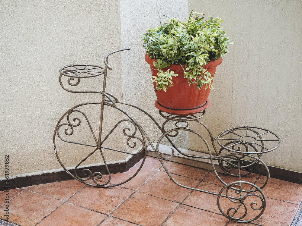Decorative wrought iron flower stand in the shape of a bicycle with a pot, with a plant stands on the floor on the tile against the white wall