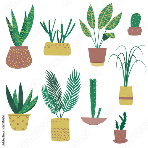 Exotic tropical plants in pots. Succulents, cactus, palm. With hand-drawn texture. Flat cartoon vector illustration.