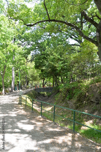 公園の歩道