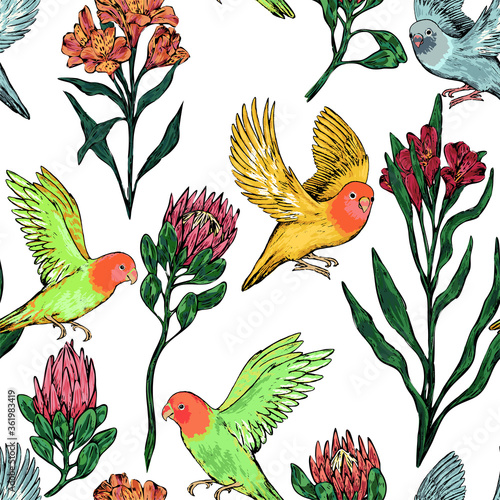 Hand drawn vector seamless pattern of parrots lovebirds and exotic flowers. Realistic birds and plant background. Vintage tropical colorful design for wallpaper, wrap, textile, postcard, print, fabric