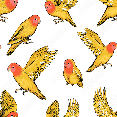 Hand drawn vector seamless pattern of parrots lovebirds. Realistic ink sketch exotic birds background. Vintage tropical colorful wallpaper. Bright design for wrap, textile, postcard, print, fabric.