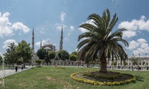 blue sky huge palm tree istanbul famous mosque panorama