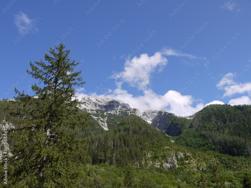 Der Hintersee Der Hintersee