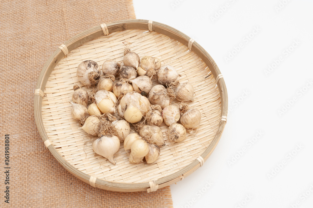 Organic garlic (Allium sativum) in woven bamboo basket. Isolated on white and jute fabric background. Copy space. Organic garlic (Allium sativum) in woven bamboo basket. Isolated on white and jute fabric background. Copy space.