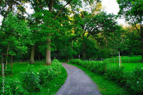 Parkweg zum Horstmarer See