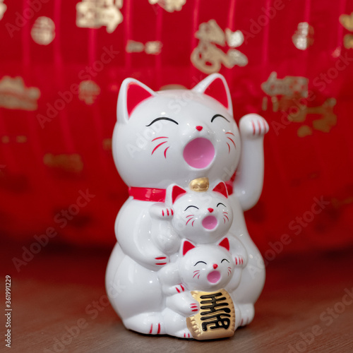 Close up Cute funny happy Maneki neko lucky cat   group cat and kittens show text on hand meaning rich on table