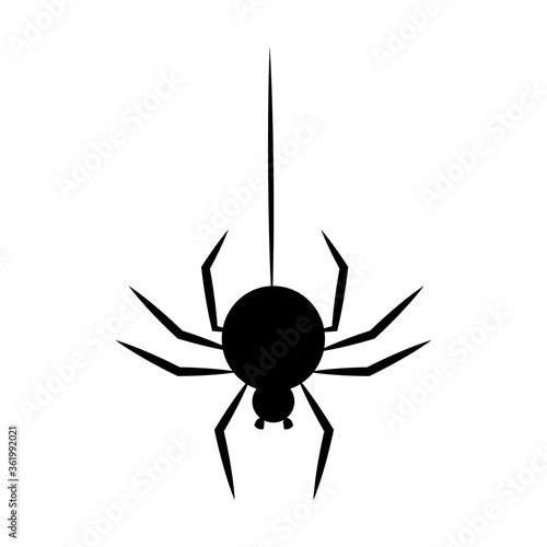 Black spider hanging on a thread. Halloween