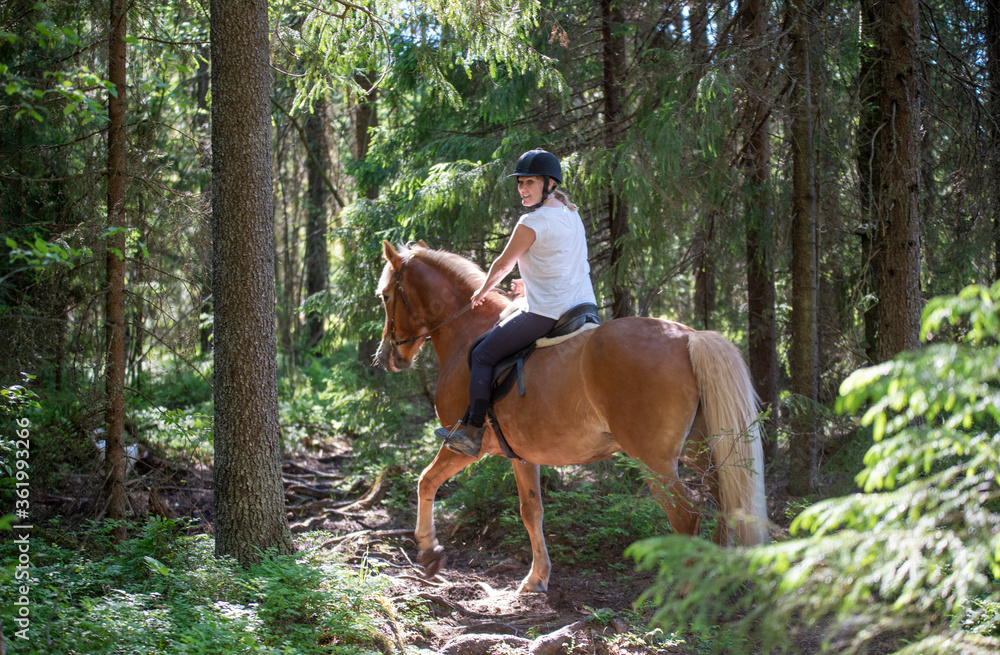 Woman horseback riding in forest Woman horseback riding in forest