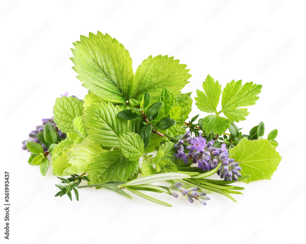 Obraz premium Fresh spices and herbs isolated