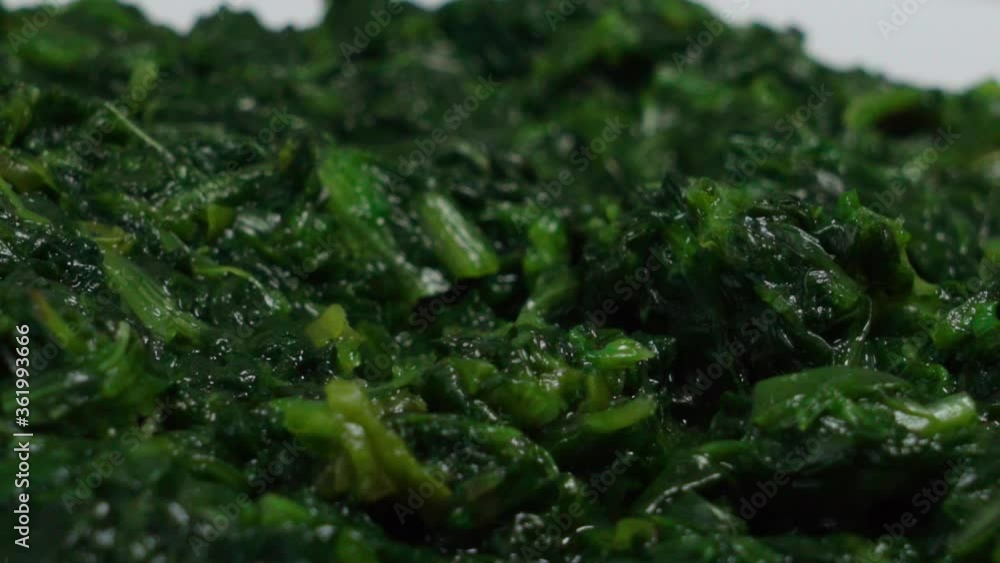 Macro Pan Right of Cooked Spinach on White Plate, Shallow Depth of Field Macro Pan Right of Cooked Spinach on White Plate, Shallow Depth of Field