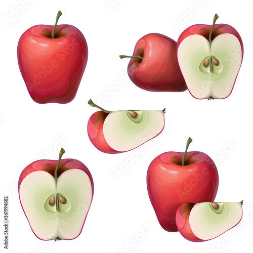 vector fresh red apples collection isolated on white. Whole, half, and slice of a ripe juicy apple. delicious sliced red fruits icon set in realistic 3d style for banner, logo. apple composition.