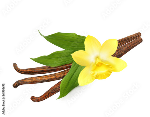 Vanilla pods and orchid flower isolated