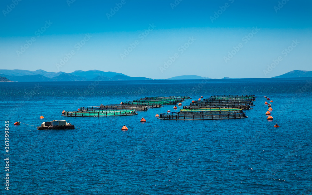 Big Cages for fish farming at Evia , Greece.