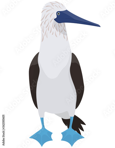 Canvas-taulu Blue-footed booby in cartoon style. Funny ocean bird.