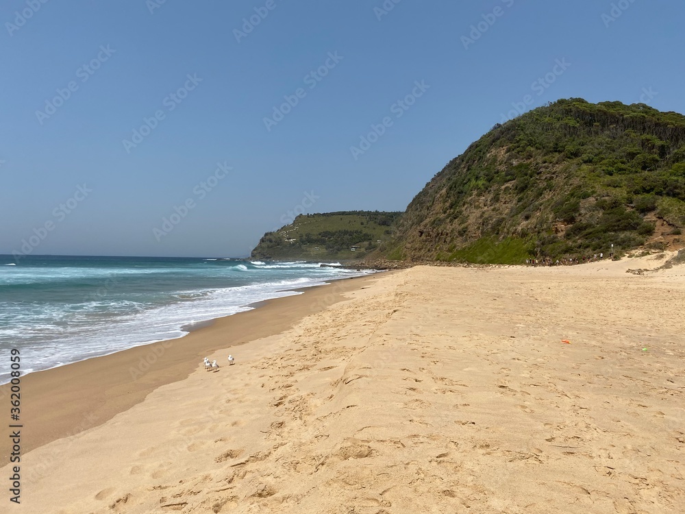 beach and sea