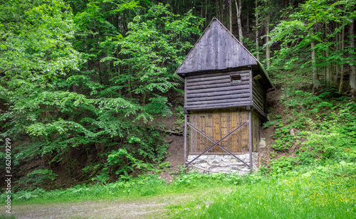 Old wooden house in forest © Sidorov Cătălin