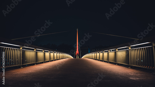 Fototapeta Naklejka Na Ścianę i Meble -  Pont Lyon