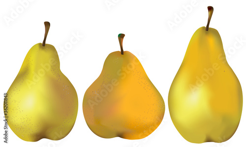 Set of three natural green, orange, yellow pears isolated on white