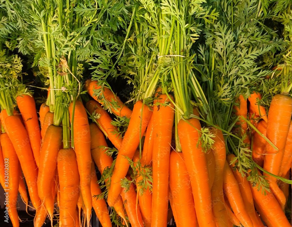 View on isolated bunches of fresh harvested carrots on german farmers market View on isolated bunches of fresh harvested carrots on german farmers market