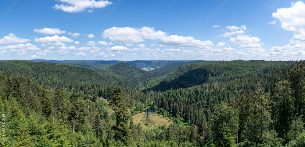 Schwarzwald Panoramablick über den Ellbachsee bis nach Baiersbronn Mitteltal, aufgenommen von der Aussichtsplattform Ellbachseeblick nahe Freudenstadt, Deutschland 