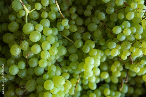 Close up of a large collection of green grapes on the market