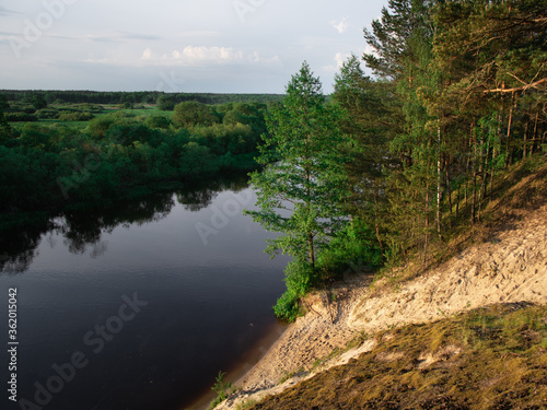 view of the river in the forest. summer time